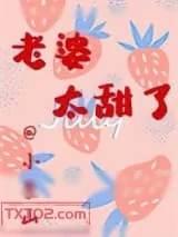 《老婆太甜了》小说封面