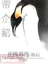 《帝企鹅在线养鸟》小说封面