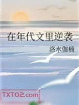 《在年代文里逆袭》小说封面