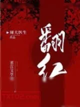 《四合院》小说封面