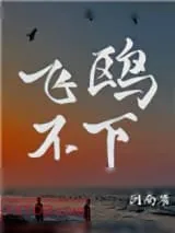 《飞鸥不下》小说封面