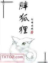 《胖狐狸》小说封面