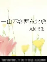 《一山不容两东北虎》小说封面