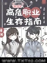 《高危职业生存指南》小说封面