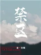 《禁区》小说封面