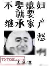 《不娶媳妇就要继承家产》小说封面