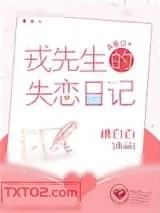 《戎先生的失恋日记》小说封面