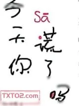 《今天你撒谎了吗》小说封面
