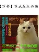 《穿成反派的猫》小说封面