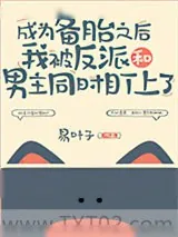 《成为备胎之后我被反派和男主同时盯上了》小说封面