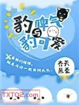 《豹脾气与豹可爱[星际]》小说封面