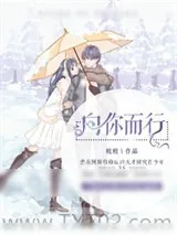 《向你而行》小说封面
