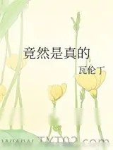 《不朽》小说封面