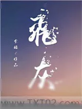 《飞灰》小说封面