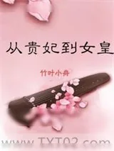 《从贵妃到女皇!》小说封面