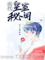 《百万雄兵爱上我》小说封面