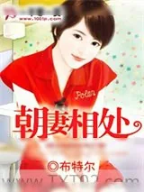 《朝妻相处》小说封面