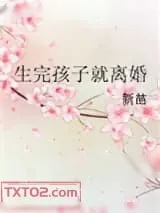 《生完孩子就离婚》小说封面