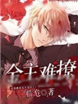 《金主难撩》小说封面