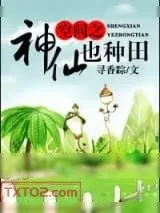 《空间之神仙也种田》小说封面