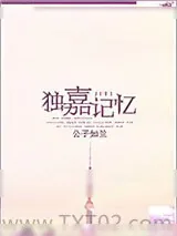 《独嘉记忆》小说封面
