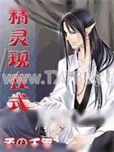 《精灵现在式》小说封面
