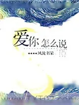 《爱你怎么说》小说封面