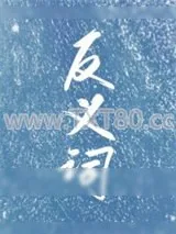 《反义词》小说封面