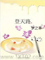 《登天路》小说封面