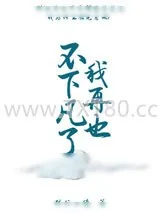 《我再也不下凡了》小说封面