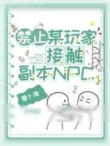 《禁止某玩家接触副本NPC！》小说封面