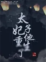 《太子妃他重生了》小说封面