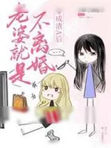 《老婆就是不离婚》小说封面