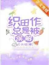《织田作总是被误解》小说封面