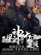 《巨星之神针夏贝》小说封面