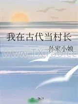 《我在古代当村长》小说封面