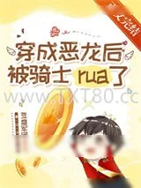 《骑士斗恶龙》小说封面