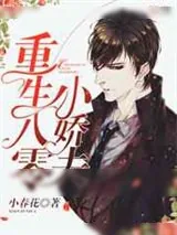 《重生八零小娇夫》小说封面