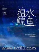 《温水鲸鱼》小说封面