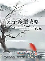 《太子养歪攻略》小说封面