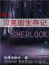 《贝克街生存记[综]》小说封面