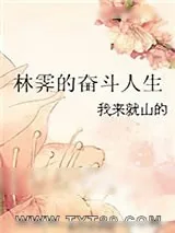 《林霁的奋斗人生》小说封面