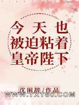 《今天也被迫粘着皇帝陛下》小说封面