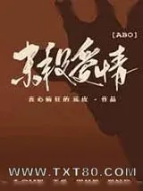 《末段爱情》小说封面