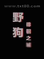 《野狗徘徊之城》小说封面