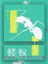 《蝼蚁》小说封面