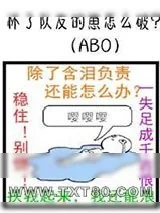 《怀了队友的崽怎么破》小说封面