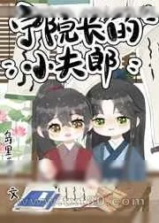 《宁院长的小夫郎》小说封面