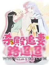 《杀殿追妻路迢迢》小说封面