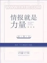 《[综英美]情报就是力量》小说封面